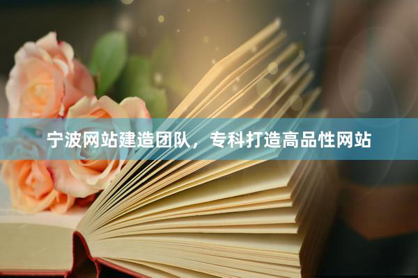 宁波网站建造团队，专科打造高品性网站