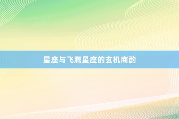 星座与飞腾星座的玄机商酌